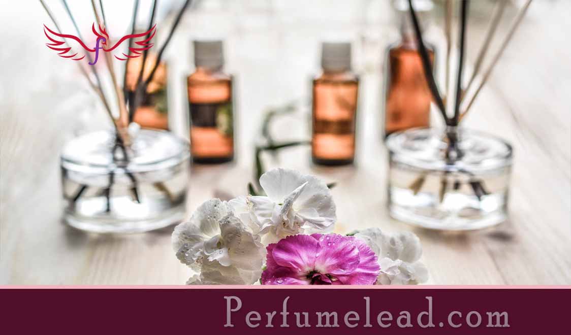 A Man’s Guide to Fragrance-perfumelead