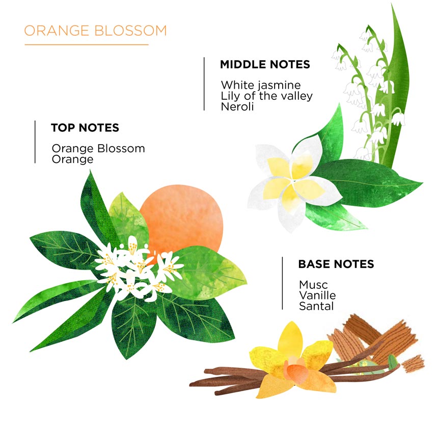 Moroccan orange blossom: tradition and benefits