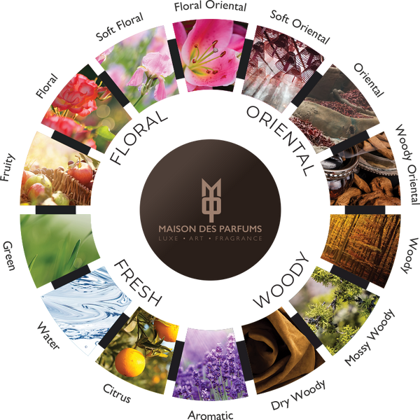 Olfactive Family – MAISON DES PARFUMS